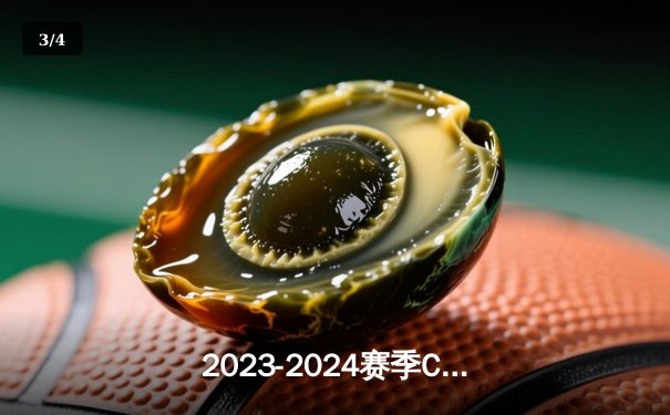 2023-2024赛季CBA总决赛落幕，辽宁男篮击败新疆成功卫冕 - 3