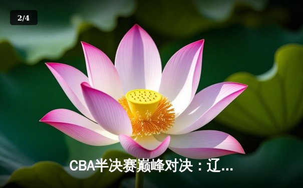 CBA半决赛巅峰对决：辽宁本钢加时险胜广东宏远，赵继伟砍35分创生涯新高 - 2
